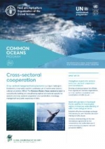 Common Oceans Program - Cross-sectoral cooperation